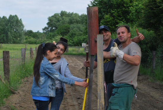 ingenhammshof_pfostensetzen
