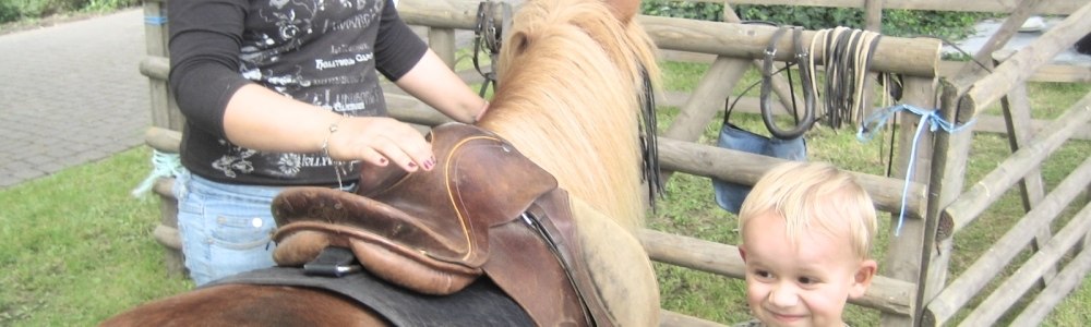 slider_gsm_aussen_reitpferd