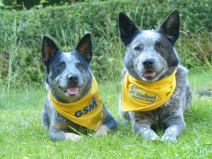 Patch & Agathe
