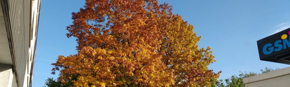 slider_gsm_aussen_herbst2015_03